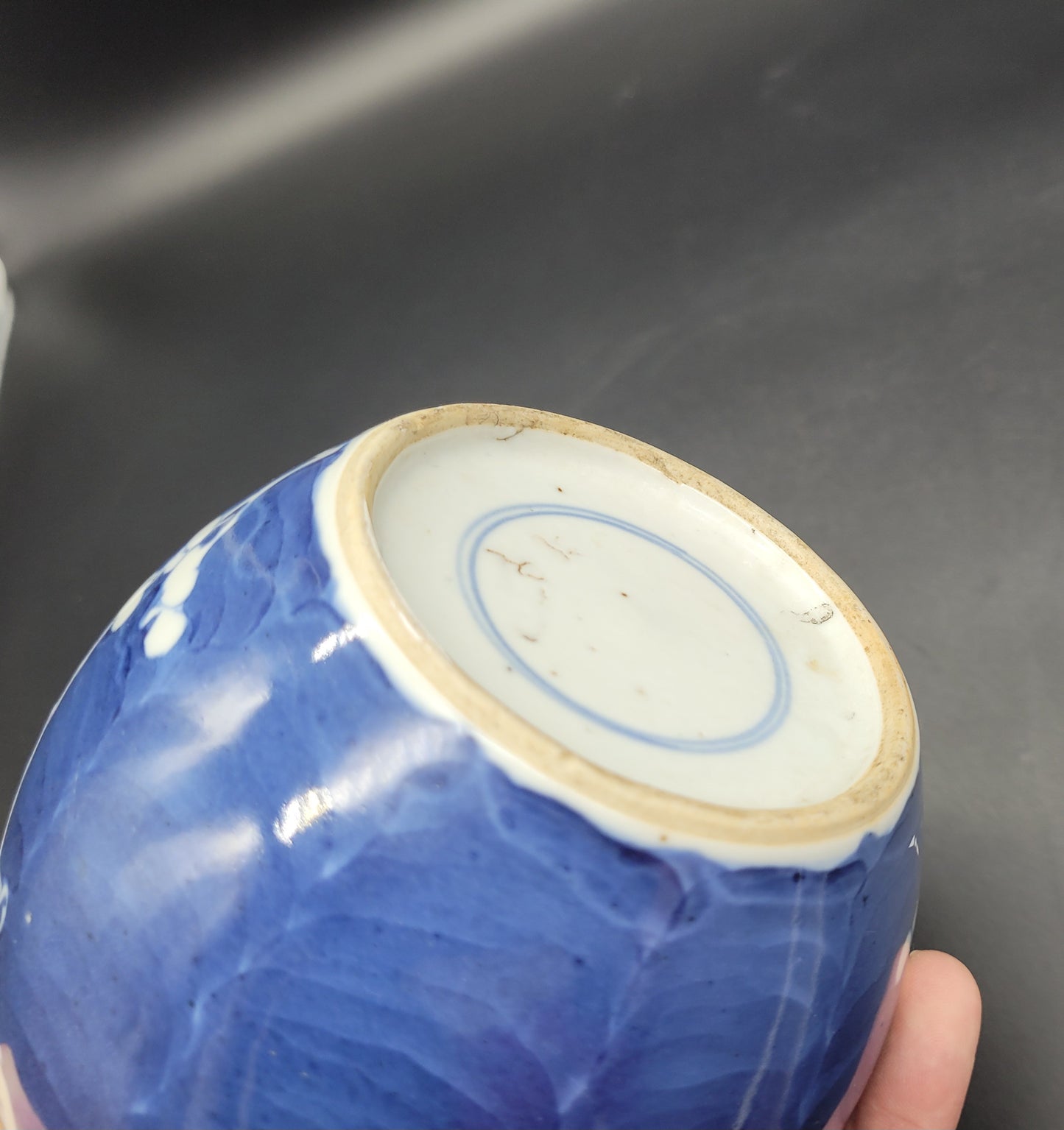 Antique Chinese 19th Century Prunus Ginger Jar Double Ring Mark #1