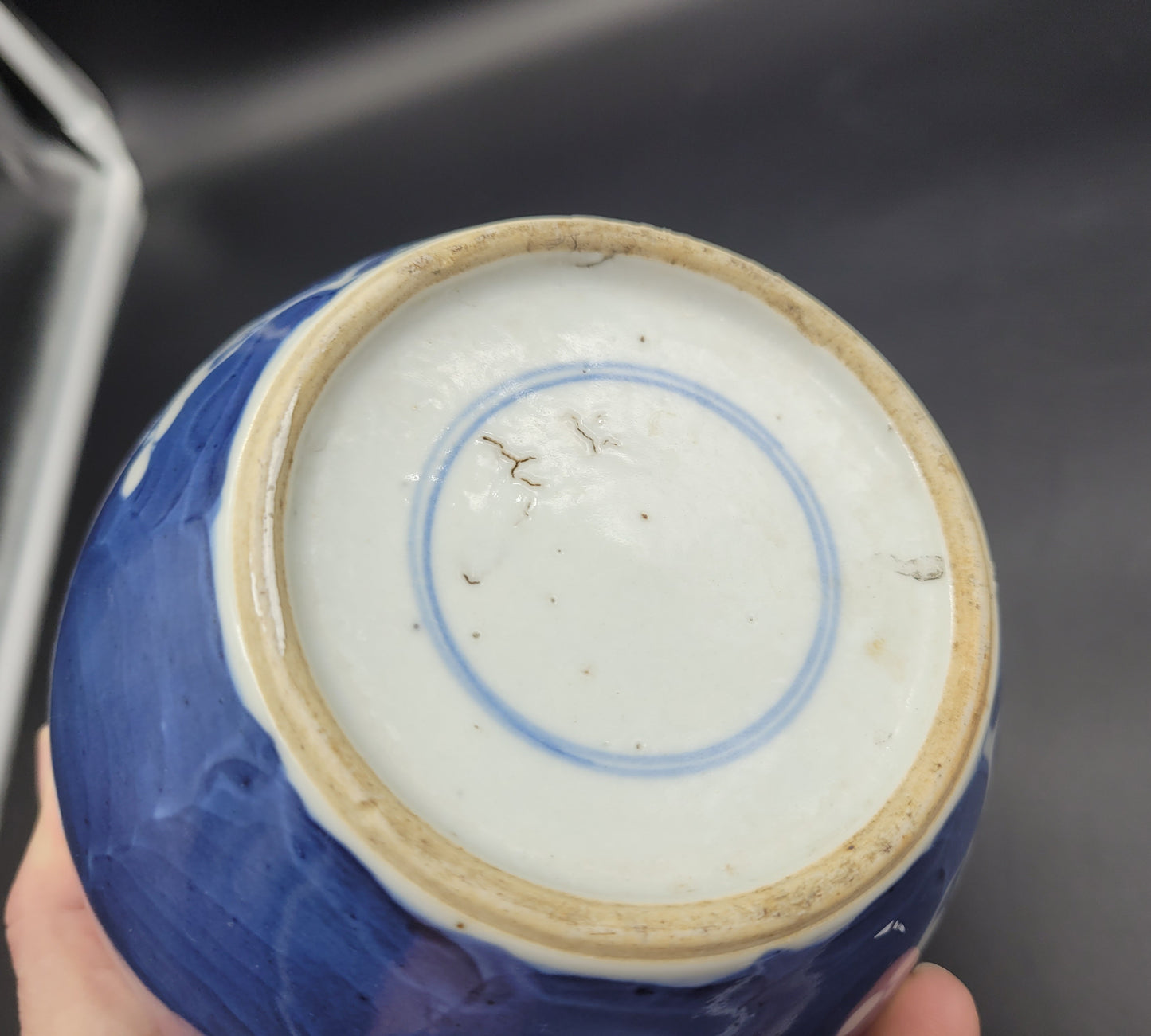 Antique Chinese 19th Century Prunus Ginger Jar Double Ring Mark #1