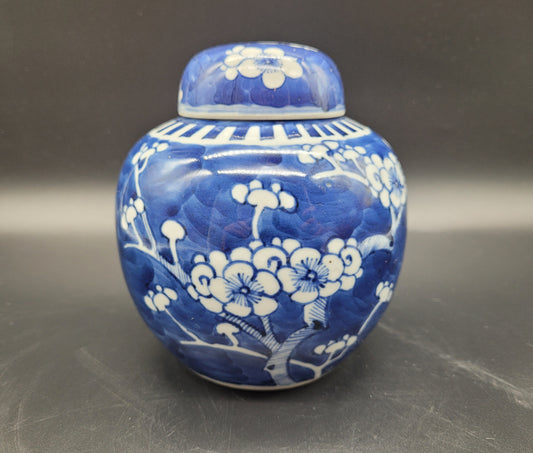 Antique Chinese Prunus Pattern Ginger Jar Late 19th Century KB ANTIQUES & JEWELLERY