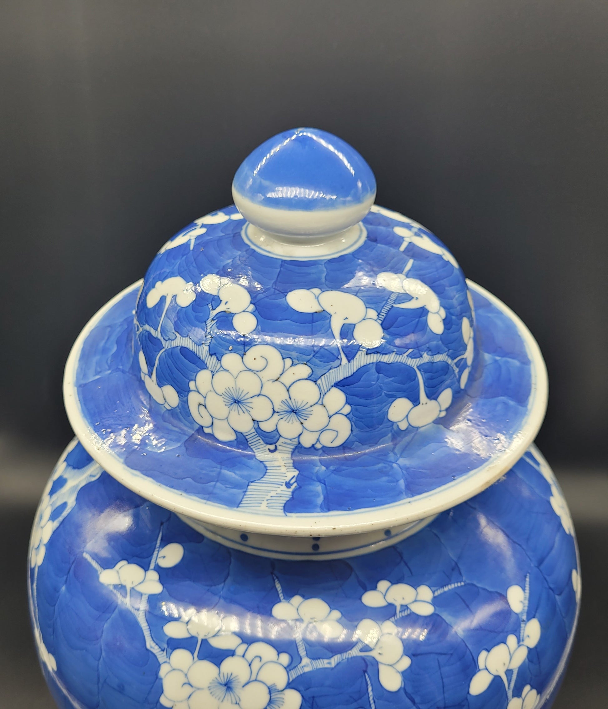 Buy & Sale Antiques USA Chinese Qing Prunus Pattern MASSIVE Vase Temple Jar 19th Century