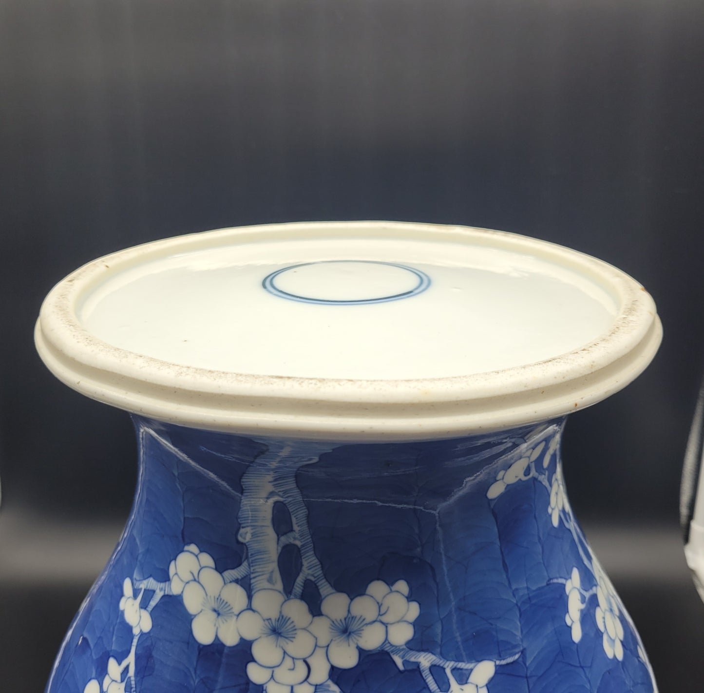 Asian Art Auctions USA Chinese Qing Prunus Pattern MASSIVE Vase Temple Jar 19th Century