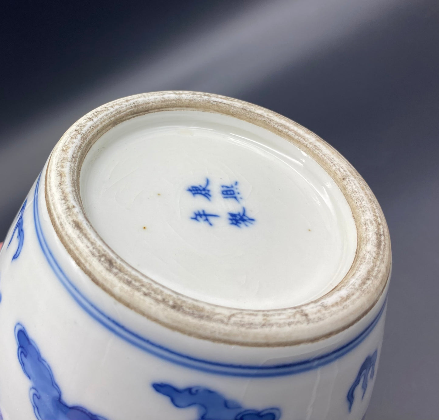 Chinese 19th Century Porcelain Vase Antique Blue & White