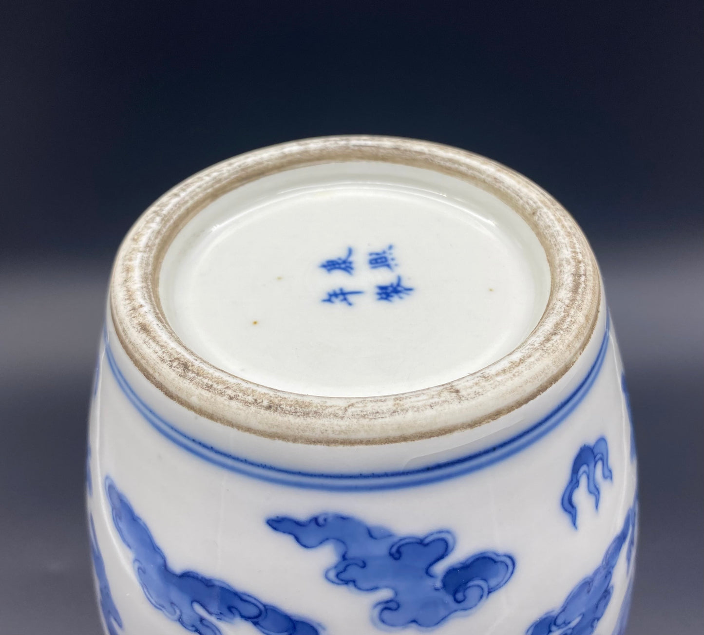 Chinese 19th Century Porcelain Vase Antique Blue & White